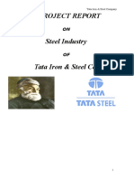 A Project Report: Tata Iron & Steel Company