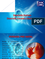 Desarrollo Prenatal y Nacimiento