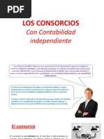 Consorcio Con Contabilidad Independiente