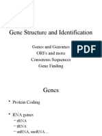 Gene Structure and Identification: Genes and Genomes Orfs and More Consensus Sequences Gene Finding