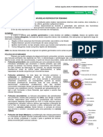 13 - Aparelho Reprodutor Feminino