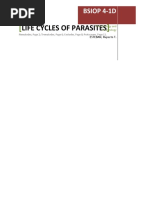 Life Cycles of Parasites: Bsiop 4-1D