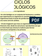 1.3 Ciclos Biologicos PDF