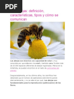 Las Abejas