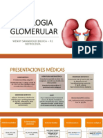 Patologia Glomerular