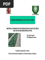 Metodos Alternativos de Produccion de Planta de Fresa.