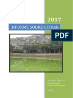 Informe Sobre Citrar