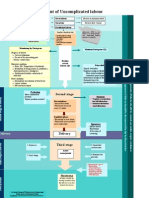 Management of Normal Labour Chart