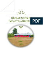 Declaracion de Impacto Ambiental