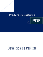 01.-Definicion de Pastizal