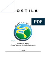 Apostila 01