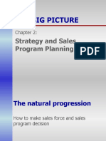 The Big Picture: Strategy and Sales Program Planning