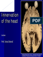 Cranial Nerves