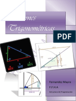 Informe Fernandez