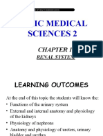 Basic Medical Sciences 2: Renal System