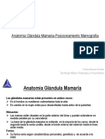 Anatomia Glandula Mamaria-Posicionamiento Mamografia