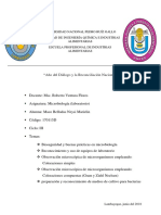 Informe de Microbiologia