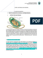 Semana 3 Estructura Bacteriana