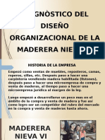 Diagnostico Organizacional de La Empresa Nieva VI