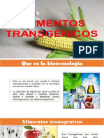 Alimentos Trangenicos