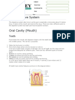 The Digestive System