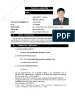 Curriculum Vitae Daniel Gallardo