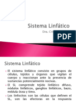 7 Sistema Linfático