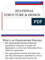 Organizational Structure Design