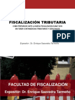 Fiscalziacion C y e