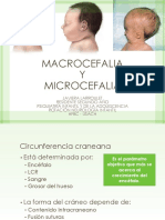 Macro y Microcefalia JL