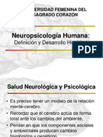 Clase 1 - Introduccion A La Neuropsicologia