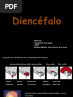 Diencefalo Estructuras y Funciones