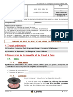 CI11!8!10-Cablage Ligne Telephonique - Eleve