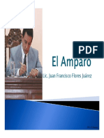 El Amparo PDF