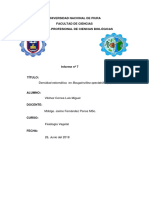 Informe Densidad Estomàtica