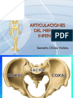 Articulaciones Del Miembro Inferior