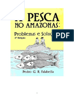 A Pesca No Amazonas - Problemas e Soluções - 2 Edição