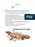 Especialidad REPTILES