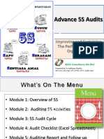 Advance 5S Audits