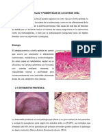 Lesiones Rojas y Pigmentadas de La Cavidad Oral Resumen