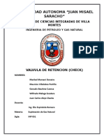 Valvula Check Informe