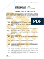 5 Objetivos Del Milenio PDF