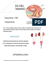 Infecciones Del Tracto Urinario TBC