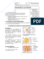 04.2 L Ossification