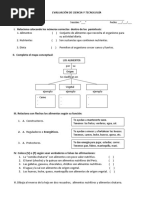 PDF Documento