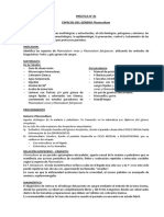 PRÁCTICA #5 Plasmodium