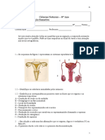 2ºTeste1ºperíodoA-TransmissãoDeVida 9º Ano