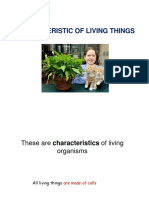 Characteristic of Living Thing