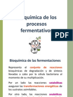 3 Bioquimica de Fermentacion Alcoholica