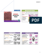 Basic Histology